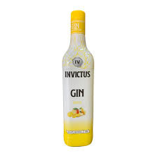 GIN INVICTUS TROPICAL 900 ML
