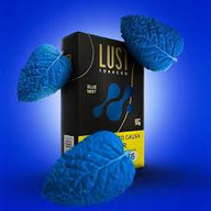 LUST BLUE MINT