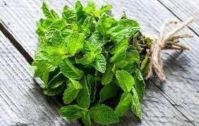 HORTELA