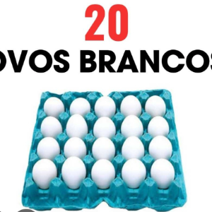 CARTELA DE OVOS 20 UNIDADES