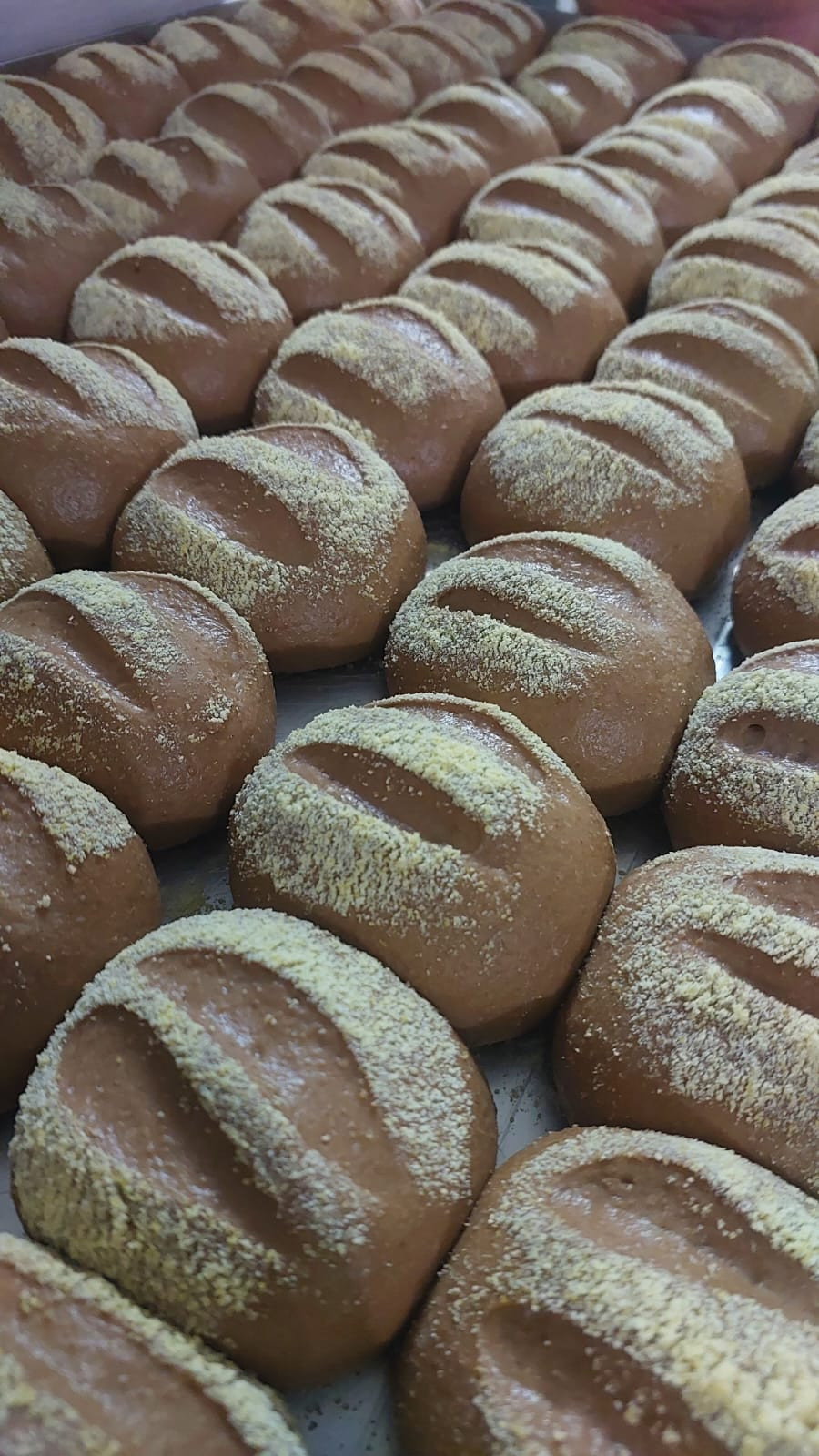 Pão Australiano