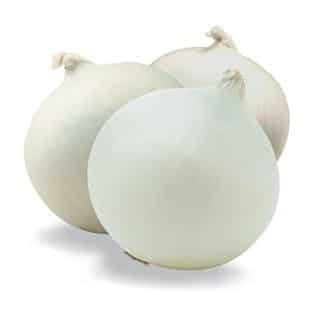 CEBOLA BRANCA KG