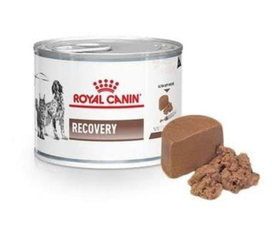 Recovery Patê Royal Canin 195g