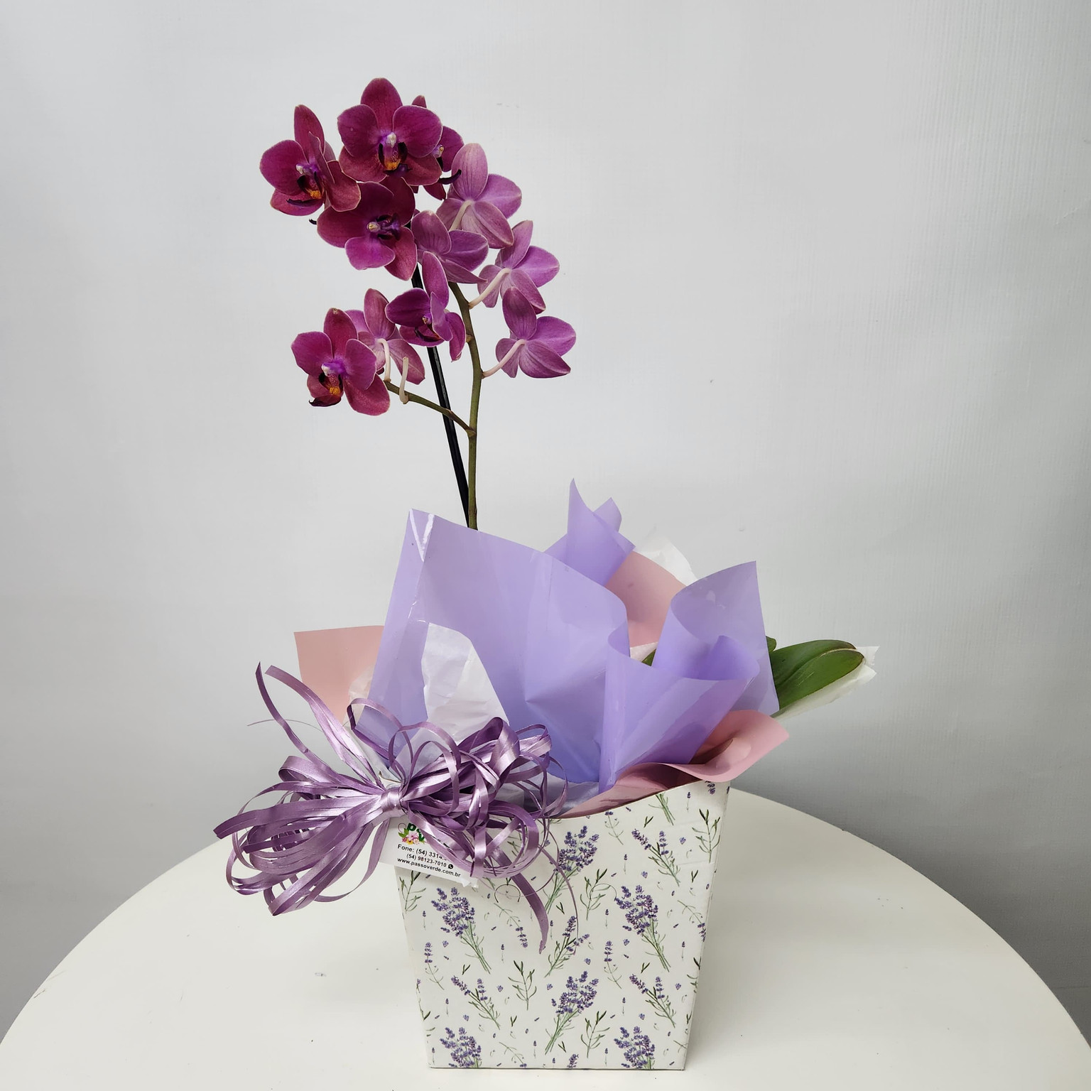 ORQUÍDEA TONS DE ROXO MINI