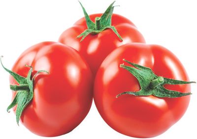 TOMATE KG