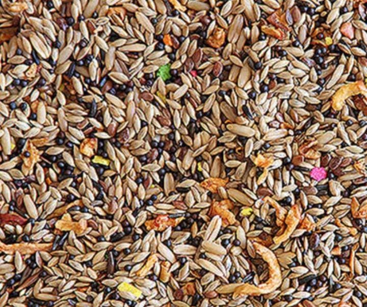 Mix Canário 1Kg