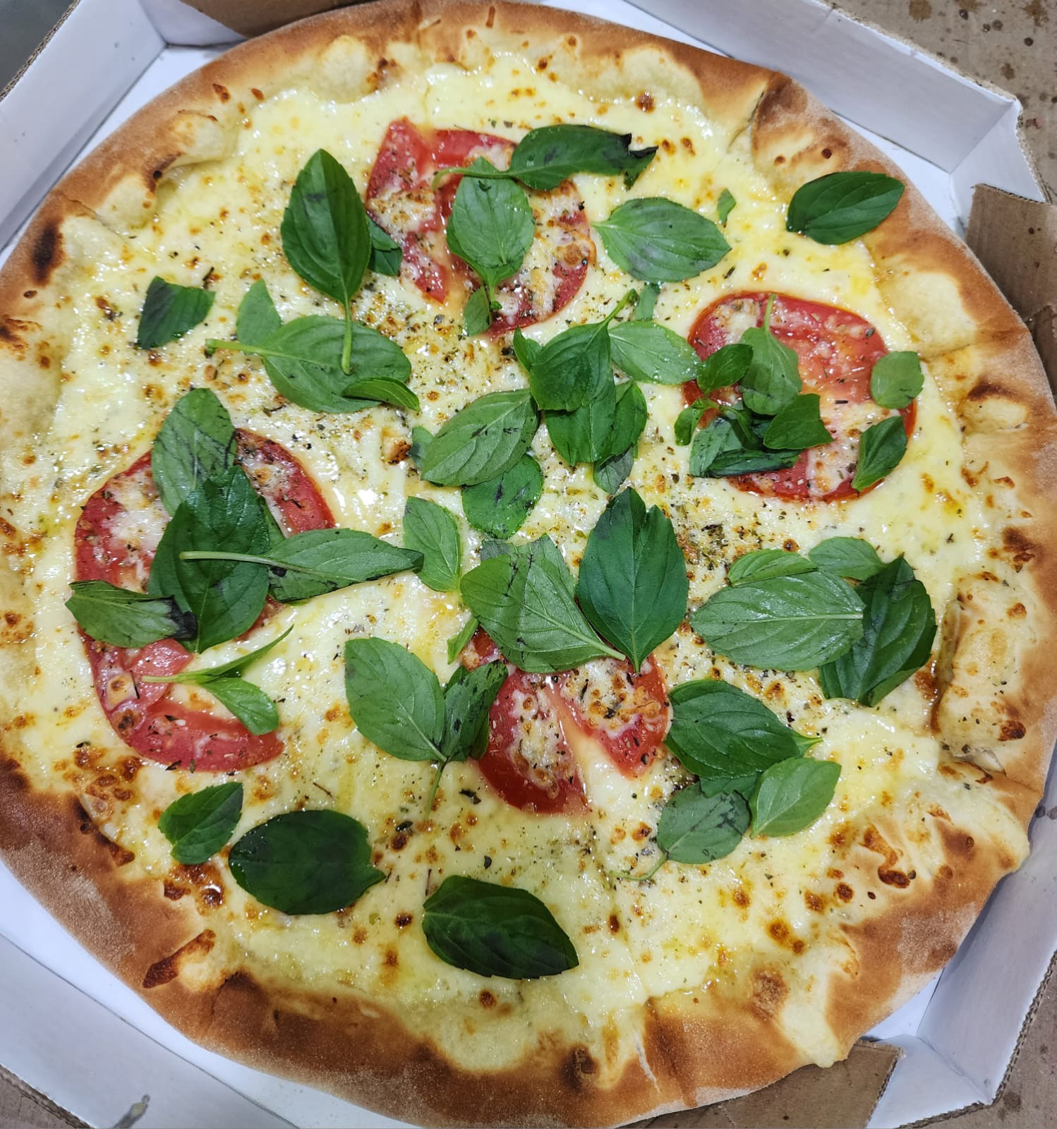 PIZZAS GRANDES  - 1 SABOR 