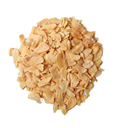 ALHO DESIDRATADO 35 G