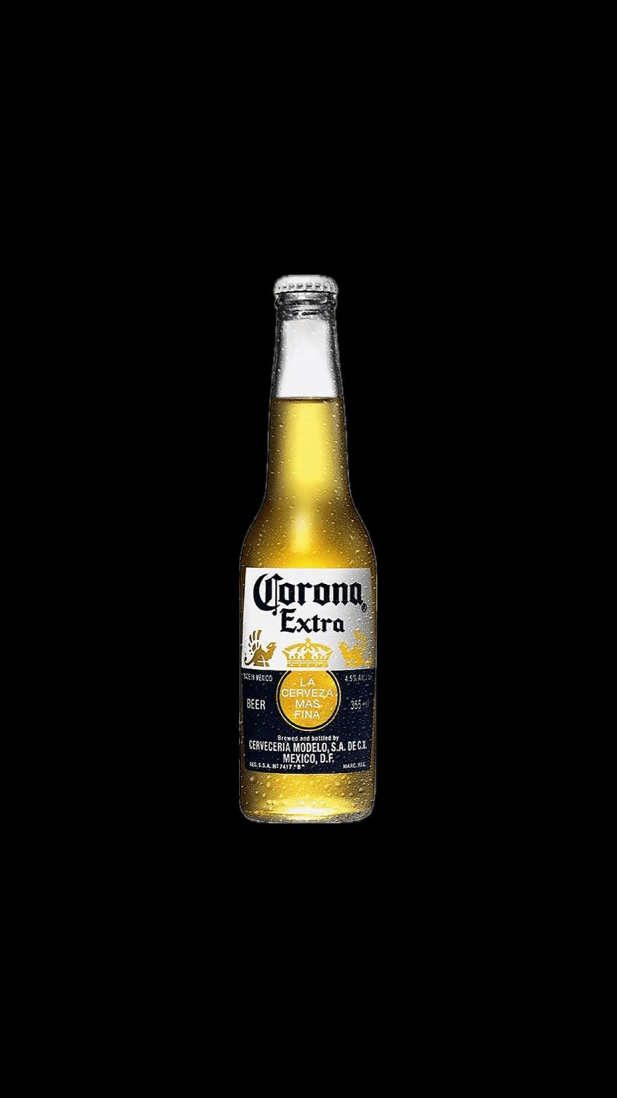 CORONA LONG NECK