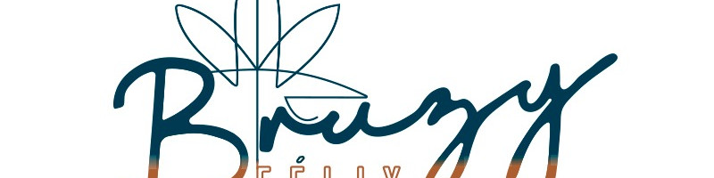 BRUZY RESTAURANTE