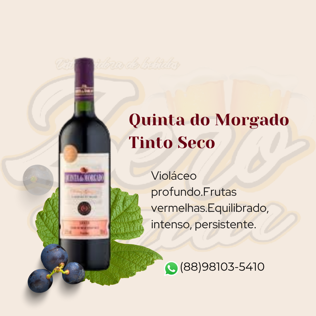 VINHO QUINTA DO MORGADO TTO SECO 750ML