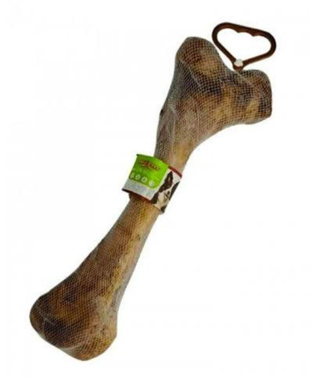 Fêmur Bovino Desidratado