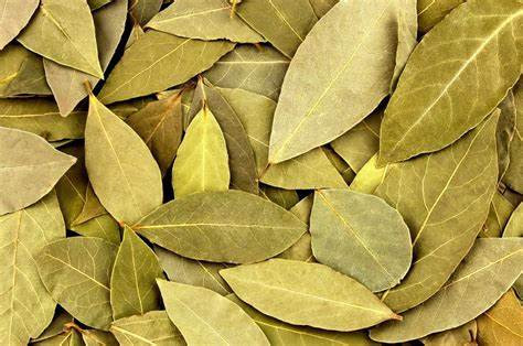 Folha de louro (10g)