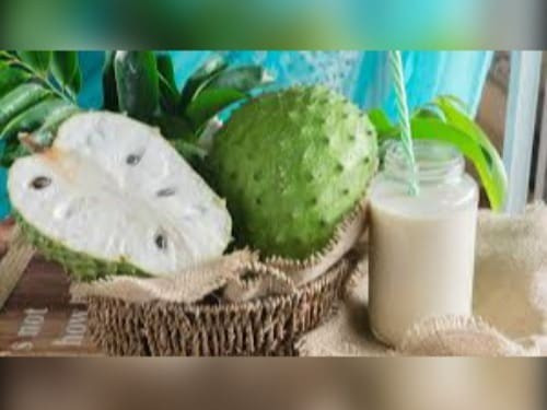 DELY SUCO DE GRAVIOLA