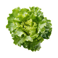 Salada