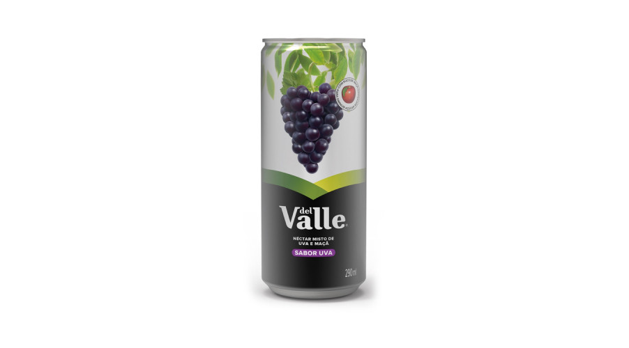 Suco Dell Valle de Uva Lata