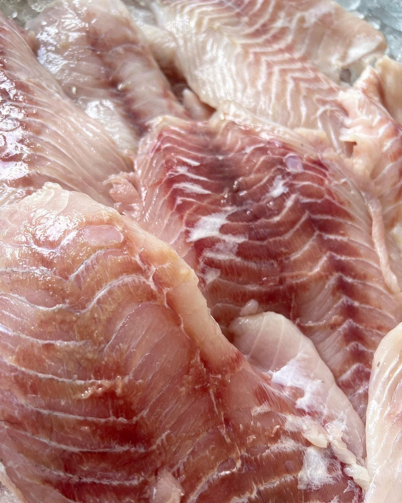 Filé de robalo (1kg)