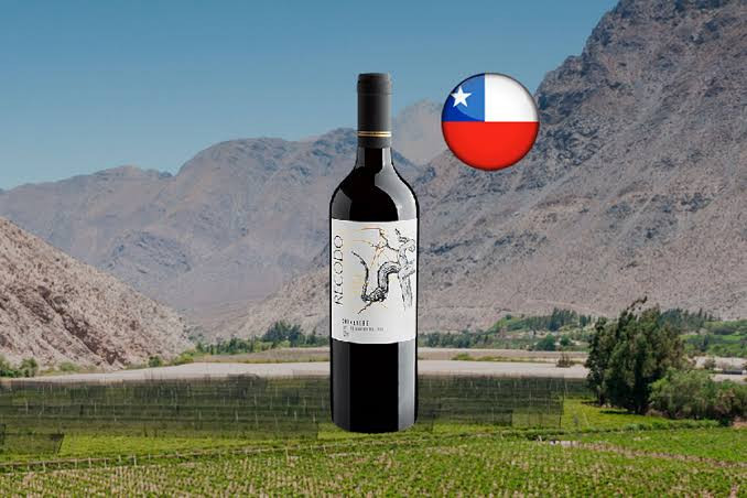 VINHO RECODO CARMENERE 