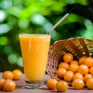 COPO SUCO CAJÁ COPO 300ML