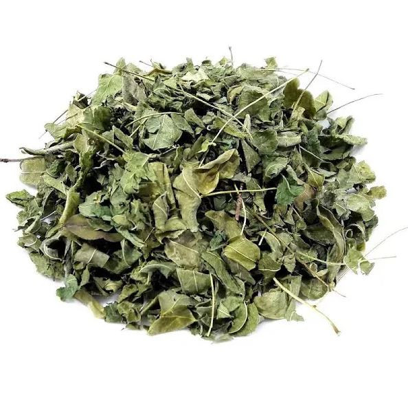 MORINGA OLEIFERA KG