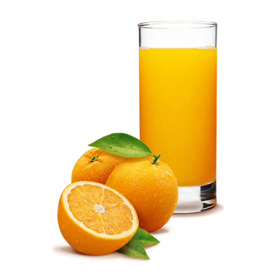 SUCO NATURAL 1 SABOR 300ml
