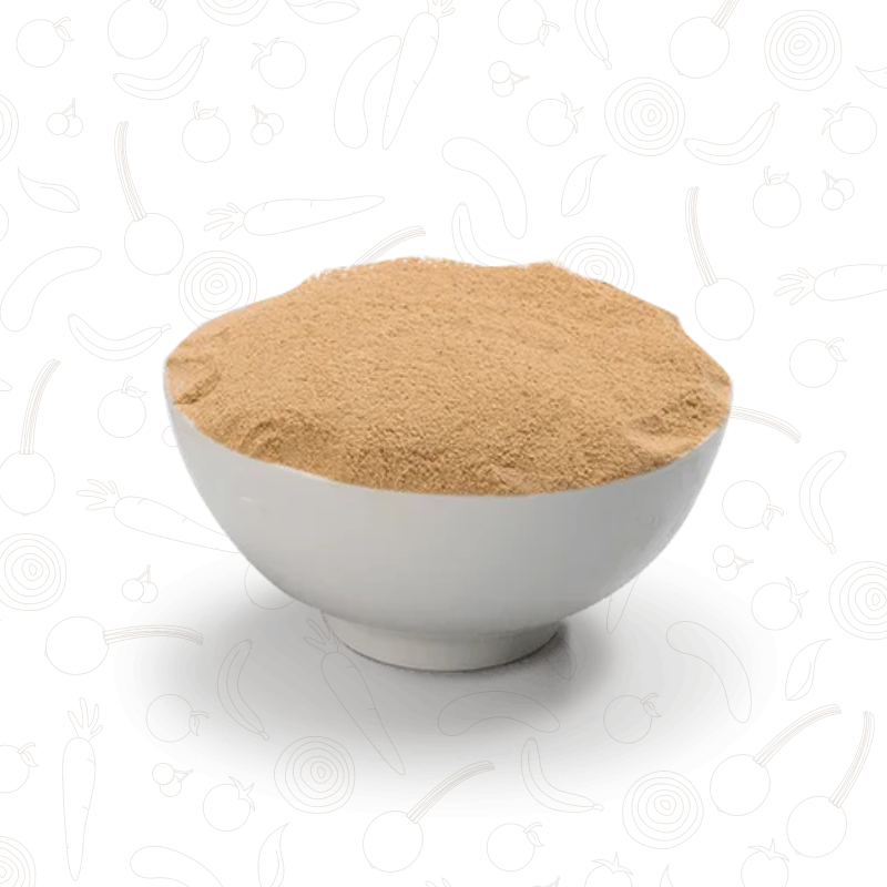Levedo de Cerveja em Pó 100g
