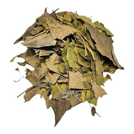 Ginkobiloba  Folha (100g)
