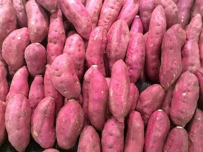 BATATA DOCE VITÓRIA 