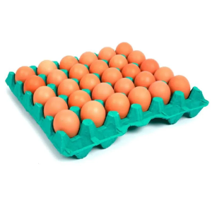 OVOS DE GALINHA - BANDEJA COM 30
