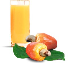 SUCO CAJU 300ML