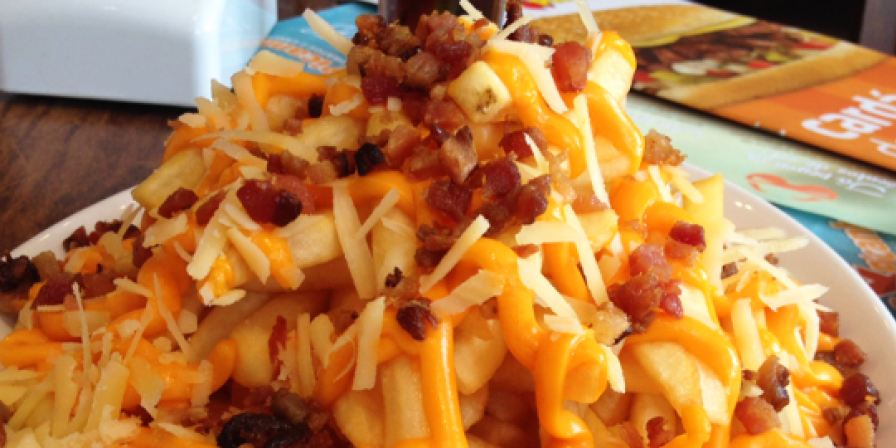 Fritas Especial 365