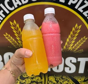 SUCOS 300ML (SEM AÇUCAR)