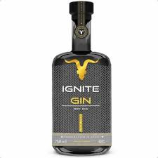 Gin Ignite Premium 750ml