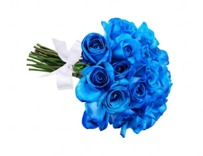Buquê de rosas azul