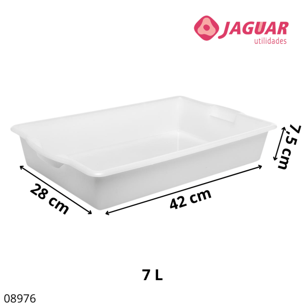 CAIXA ORGANIZADORA P/ FRIOS 7LTS RET 44X28CM
