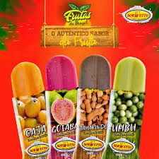 PICOLE FRUTAS DO BRASIL QUY SORWETTO