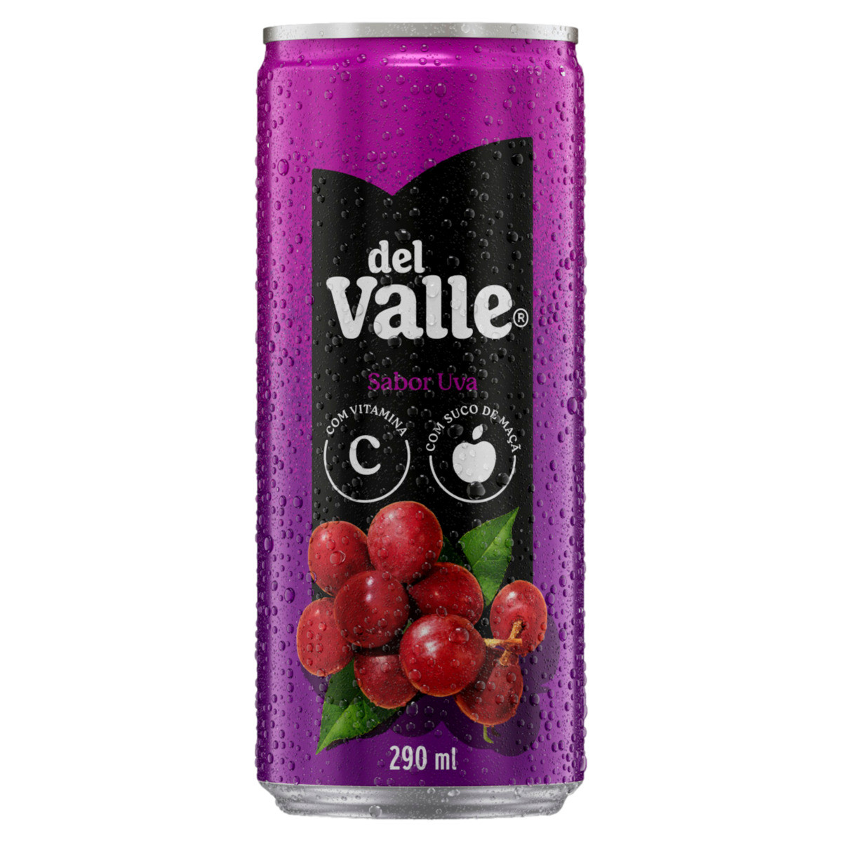 DEL VALLE LATA 290ML 