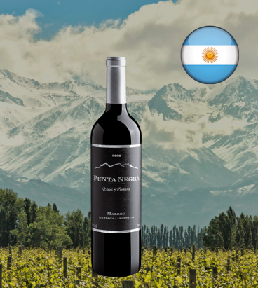 PUNTA NEGRA  2024 