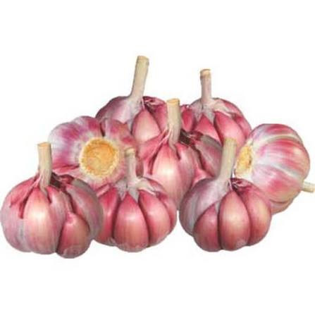 Alho Roxo (100g)