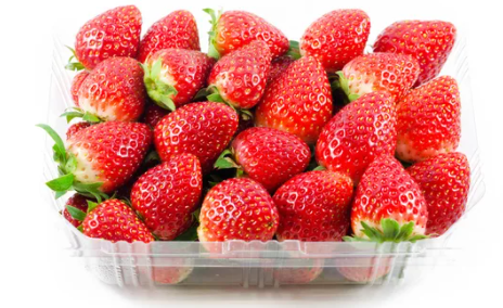 MORANGO ESPECIAL