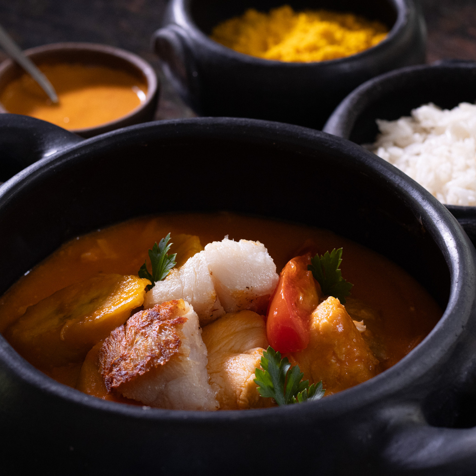 MOQUECA DE PEIXE CANTO DAS AGUAS