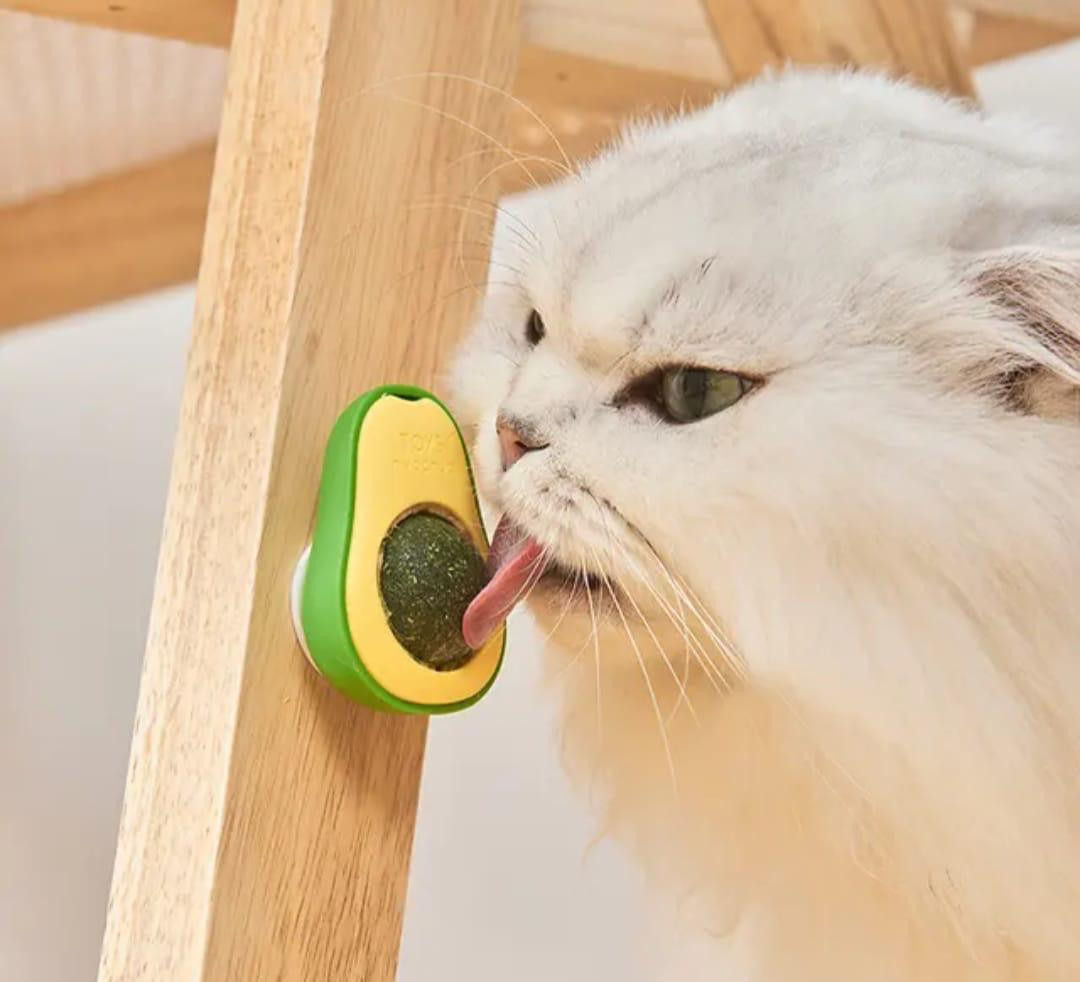 Abacate Cat Nip