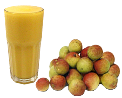 SUCO MANGABA 300ML
