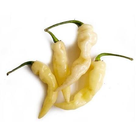 PIMENTA MURUPI KG