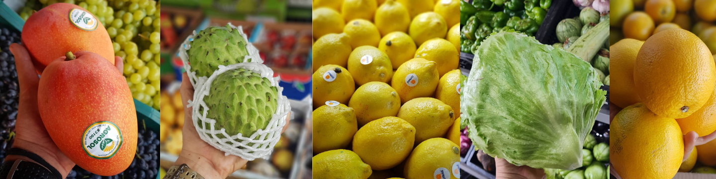Daroça Hortifruti
