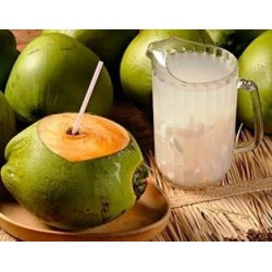 Água de Coco Jarra 1 Litro