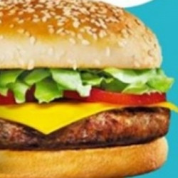 Brutus X-burguer (carne/frango/picanha)