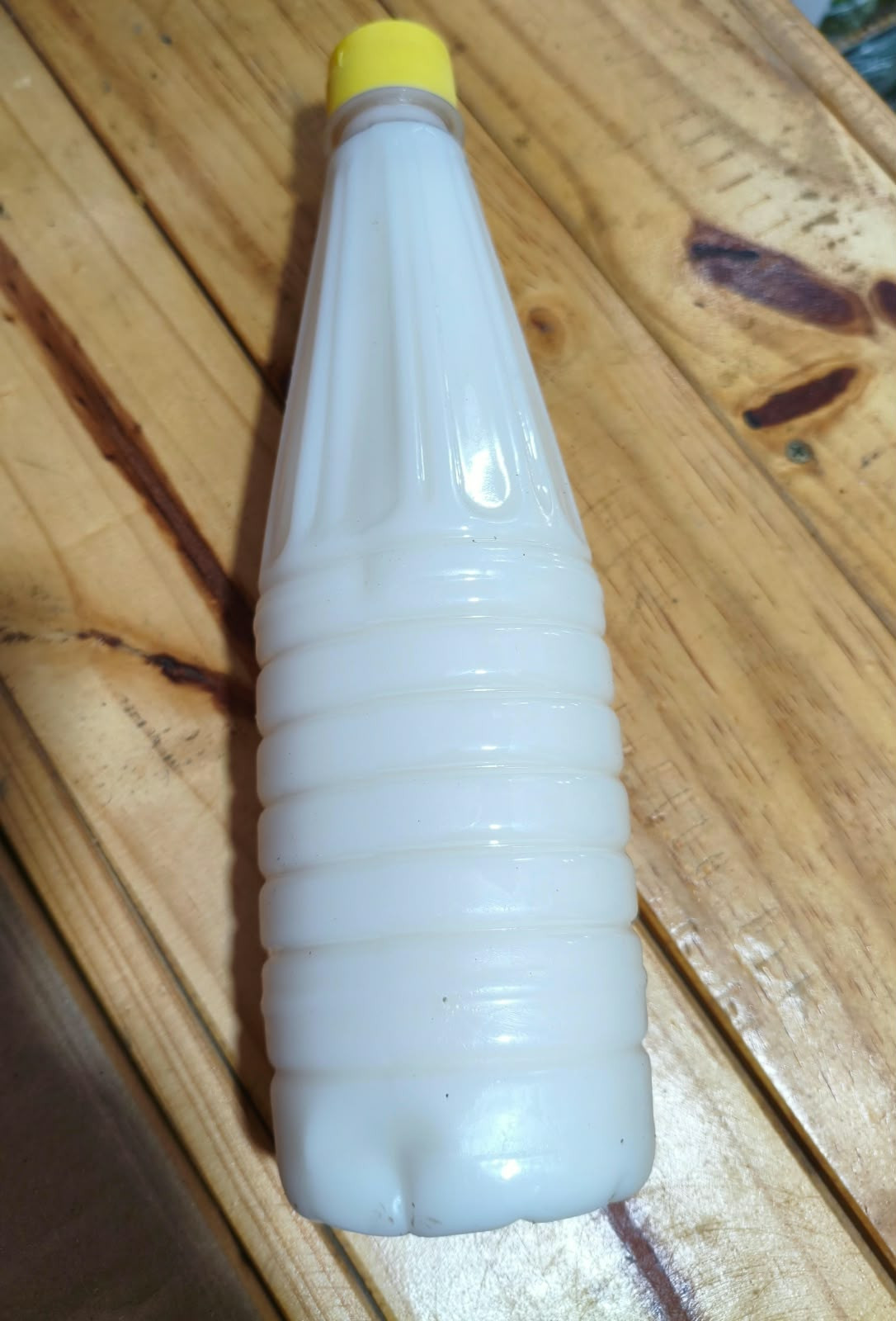 BANHA DE PORCO 480G