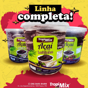 POTE AÇAÍ TROPMIX - TRADICIONAL 2L