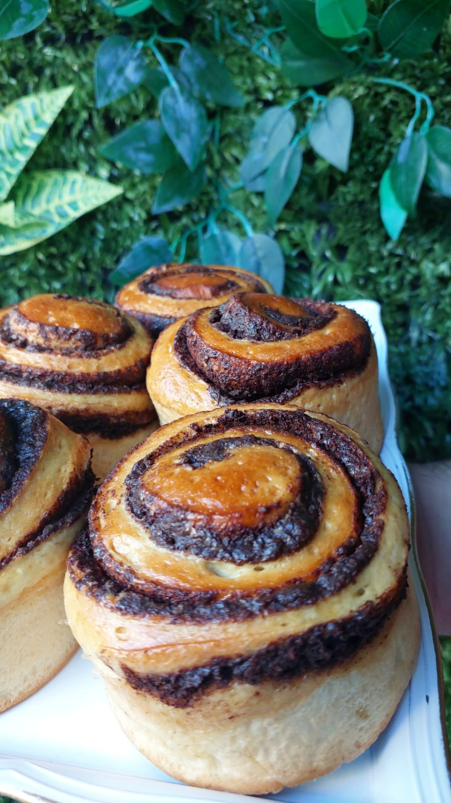 Cinnamon Roll